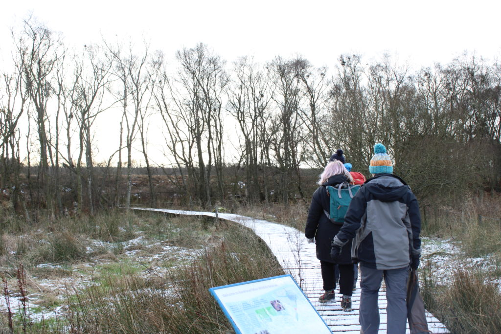 Museum staff are walking through Bankhead Moss in Peat Inn, Fife.